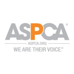 Green Business American Society for the Prevention of Cruelty to Animals (ASPCA) in New York NY