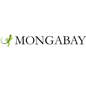 Green Business Mongabay in Menlo Park CA