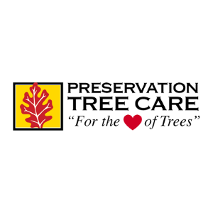 Green Business Preservation Tree Care in Englewood CO