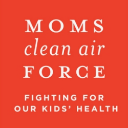 Green Business Moms Clean Air Force in New York NY
