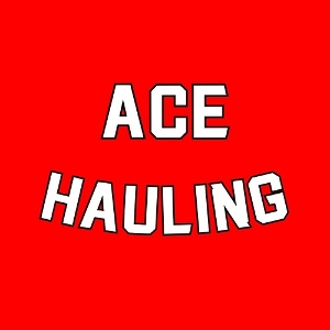 ACE Hauling Junk Removal & Moving