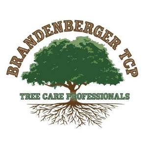 Green Business Brandenberger Tree Care Professionals LLC in Auburn IN