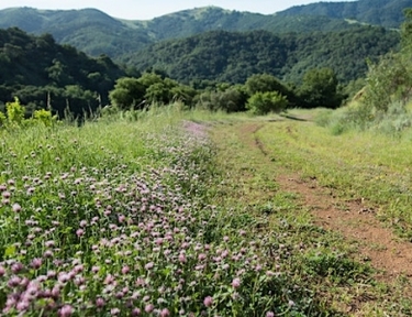 Morning Hike at Rancho Cañada del Oro