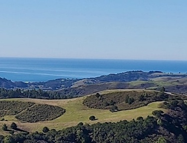 Morning Hike at Lower La Honda Creek