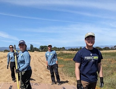 Volunteer Outdoors in Mountain View: Shoreline Marsh Habitat Restoration