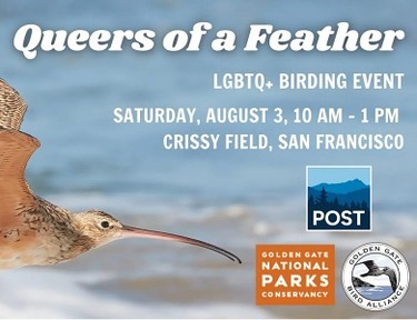 Queers of a Feather (LGBTQ+ Birding Event)