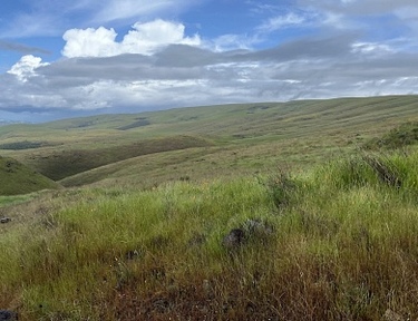 BioBlitz at Spreckels Hill