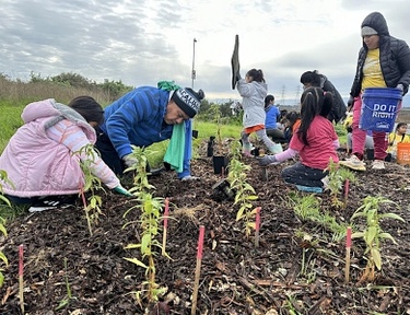 Habitat Restoration at Cooley Landing, East Palo Alto